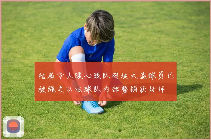 结局令人暖心狼队鸡块大盗球员已被绳之以法球队内部整顿获好评