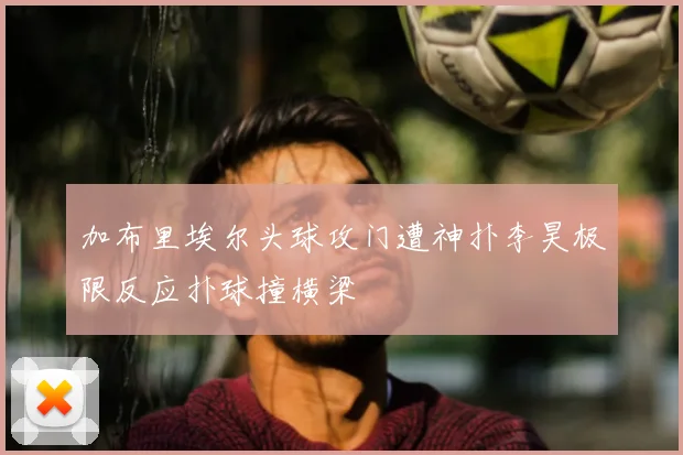 加布里埃尔头球攻门遭神扑李昊极限反应扑球撞横梁