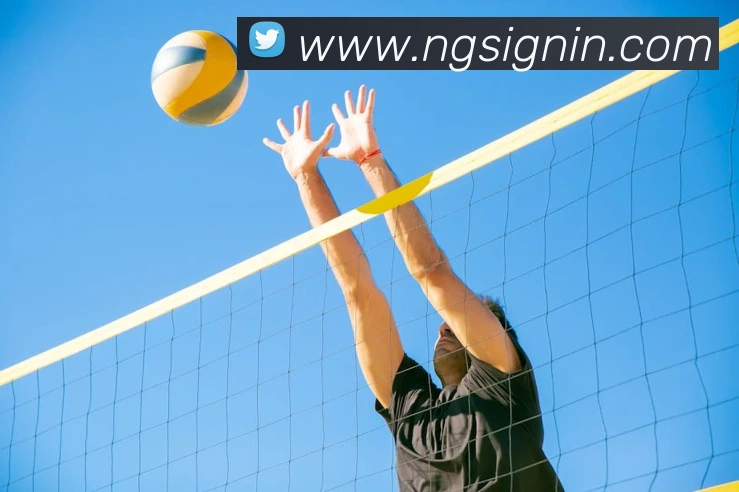 南宫体育服务体系